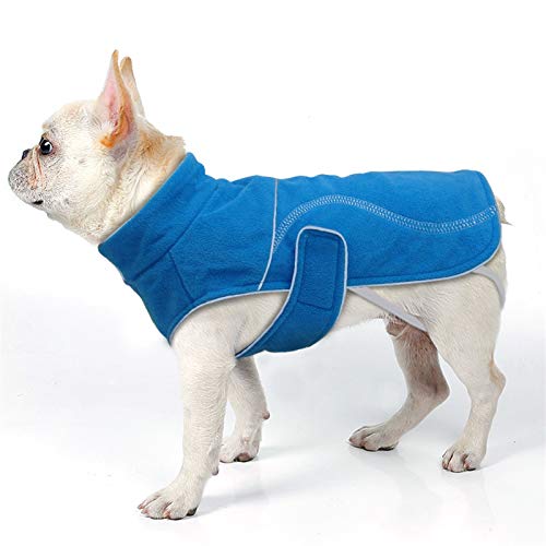 DHGTEP Frühling Winter Hundekleidung Reflektierende Warme Hunde Kleidung Jacke Pullover Mantel für Kleine Mittlere Große Hunde Pit Bull Chihuahua (Color : Blue, Size : L) von DHGTEP