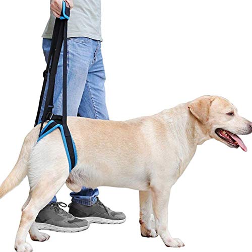 DHGTEP Hundegeschirr, Hundeträger, Hundegeschirr für Gelähmte Beine, Gelenkverletzungen, Ältere Menschen und Arthritis, ACL Rehabilitation, Blau (Size : S) von DHGTEP