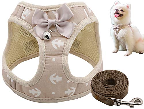 DHGTEP Hundegeschirr Gepolstert with Hundeleine 145cm Hundegeschirr Hundeleine Set mit Süßer Fliege ＆ Glocke für Welpe Kleine Hunde Große Katzen (Color : Beige, Size : M) von DHGTEP