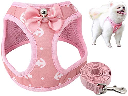 DHGTEP Hundegeschirr Gepolstert with Hundeleine 145cm Hundegeschirr Hundeleine Set mit Süßer Fliege ＆ Glocke für Welpe Kleine Hunde Große Katzen (Color : Pink, Size : Xs) von DHGTEP