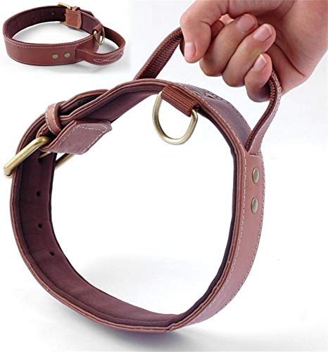 DHGTEP Hundehalsband, Schnellsteuerung Weich Innen Gepolstertes PU-Leder-Hundehalsband mit Griff für Mittelgroße Hunde Walking Training (Color : Brown, Size : 4.5x68.5CM) von DHGTEP