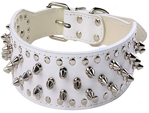 DHGTEP Hundehalsband Leder Breit, Hundehalsband Einstellbar Langlebig Weich Gepolstert Welpe Haustier Halsbänder für Kleine Mittlere Große Hunde (Color : White, Size : 66x5CM) von DHGTEP