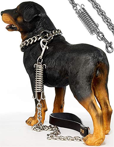 DHGTEP Hundeleine Seil mit Schockabsorbierender Feder Edelstahl Ausziehbare Leinen Schockpuffer Feder Starke Hundeleinen für Mittlere Große Hunde (Color : Silver, Size : 60x1.5cm) von DHGTEP