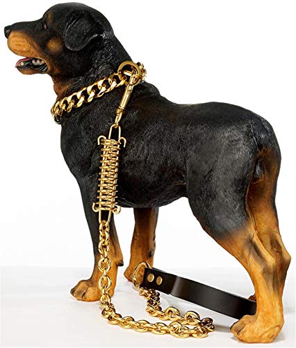 DHGTEP Hundeleinen 15mm Seil Hundeleine mit Schock-Puffer Absorbierende Feder Edelstahl Im Freien Langlebig Hund Tether Kabel Leine für Mittlere Große Hunde (Color : Gold, Size : 100cm) von DHGTEP