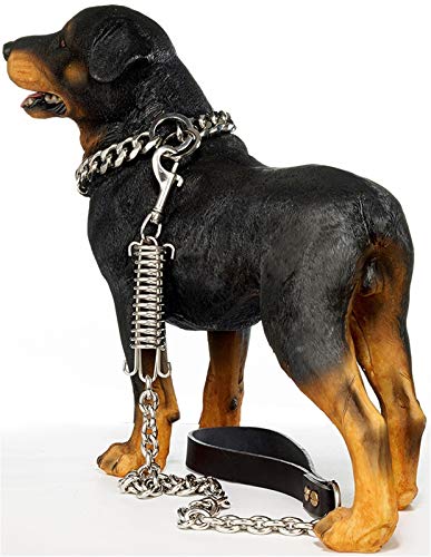 DHGTEP Hundeleinen 15mm Seil Hundeleine mit Schock-Puffer Absorbierende Feder Edelstahl Im Freien Langlebig Hund Tether Kabel Leine für Mittlere Große Hunde (Color : Silver, Size : 100cm) von DHGTEP