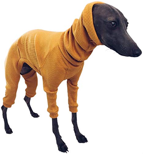 DHGTEP HundemäNtel Hund Fleece Onesie Jumper mit Vier Beinen Haustier Hundesweater Haustier Baumwollmantel Kleidung für Welpen Kleine Mittlere Große Hund (Color : Brass, Size : 4XL) von DHGTEP