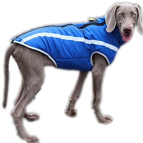 DHGTEP Hundemantel Dicke Jacke für Große Hunde, Winter Warme Baumwolle Hundekleidung Weste mit Geschirr Loch, Reflektierende Hundekleidung mit Verstellbarer Schnalle (Farbe : Blau, Größe : XL) von DHGTEP