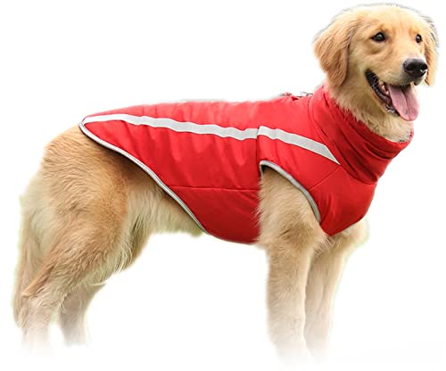 DHGTEP Hundemantel Dicke Jacke für Große Hunde, Winter Warme Baumwolle Hundekleidung Weste mit Geschirr Loch, Reflektierende Hundekleidung mit Verstellbarer Schnalle (Farbe : Rot, Größe : XXX-Large) von DHGTEP