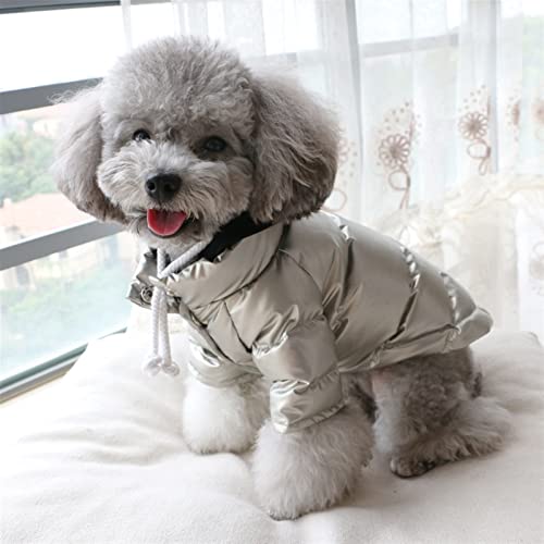 DHGTEP Hundemantel Gesteppte Jacke für Winter, Warme Baumwolle Hundekleidung mit Beinen Winddicht Helle Farben Hundejacken für Kleine Mittlere Hunde (Farbe : Silver, Größe : L) von DHGTEP