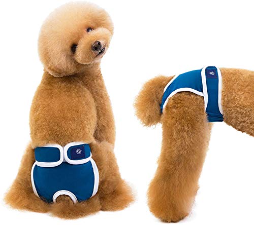 DHGTEP Hundewindel, Kurze Physiologische Hundewindel Welpenwindelhose Atmungsaktive Haustier-Hygieneunterwäsche Slip (Color : Blue, Size : Large) von DHGTEP
