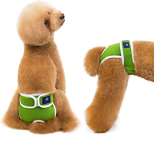 DHGTEP Hundewindel, Kurze Physiologische Hundewindel Welpenwindelhose Atmungsaktive Haustier-Hygieneunterwäsche Slip (Color : Green, Size : Medium) von DHGTEP