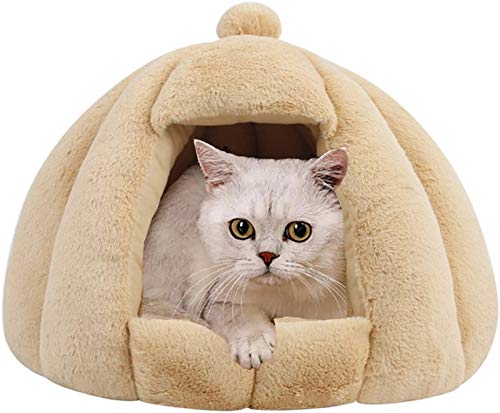 DHGTEP Katzenbett Höhle für Indoor-Katzen Kleine Hunde Kätzchen Bett Haustier Zelt Höhle Kitty Bett Katze Hütte mit Abnehmbaren Waschbar Gepolstert Kissen (Color : Beige, Size : 50x43CM) von DHGTEP