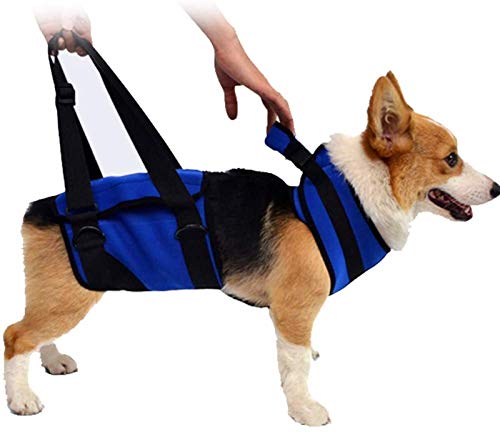 DHGTEP Tragehilfe Für Hunde, Vordere Hintere Beine Hund Support Harness, Hundegeschirr Hund Rehabilitation Aid Vest Adjustable Chest Harness Für Alte & Verletzte Hunde (Size : L) von DHGTEP