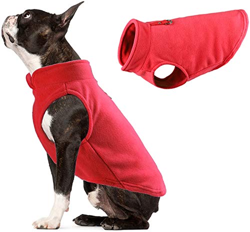 DHGTEP Winter Fleece Hundekleidung Welpenkleidung Französische Bulldogge Mantel Mops Kostüme Jacke für Kleine Hunde Chihuahua Weste (Color : Red, Size : L) von DHGTEP