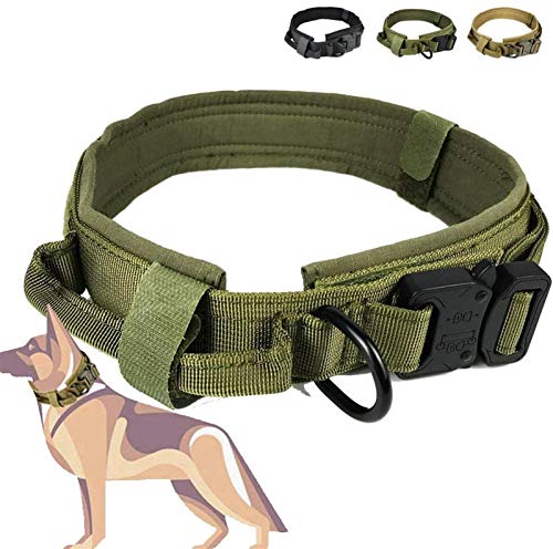 Taktisches Nylon-Hundehalsband, Verstellbares Schnellverschluss-Halsband mit D-Ring & Griff & Metallschnalle für Mittelgroße Hunde (Color : Green, Size : L) von DHGTEP