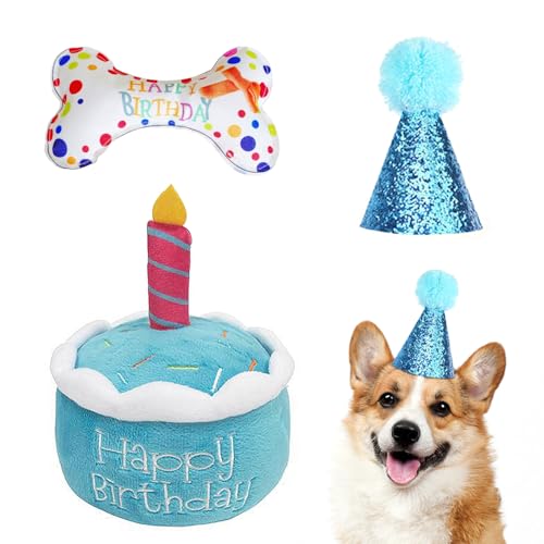 DHSBGWSX 1 Plüsch-Kuchenspielzeug, 1 Plüschknochen, 1 Geburtstagshut, Klingendes Knochenspielzeug, Plüschkuchen, Haustier-Geburtstagsparty-Set, Haustier-Plüschpuppe, Kauspielzeug DHSBGWSX 1 Plüsch-Kuchenspielzeug, 1 Plüschknochen, 1 Geburtstagshut, Klingendes Knochenspielzeug, Plüschkuchen, Haustier-Geburtstagsparty-Set, Haustier-Plüschpuppe, Kauspielzeug von DHSBGWSX