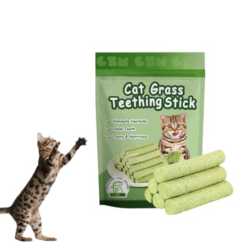 DHliIQQ Katzengras-Kaustab, Katzengras-Beißstäbchen, Kaustäbchen für Katzen, Kaustab, Spielzeug zum Zahnen von Katzen, Spielzeug zum Entfernen von Haarballen, Katzenminze-Spielzeug für Ihre Katze DHliIQQ Katzengras-Kaustab, Katzengras-Beißstäbchen, Kaustäbchen für Katzen, Kaustab, Spielzeug zum Zahnen von Katzen, Spielzeug zum Entfernen von Haarballen, Katzenminze-Spielzeug für Ihre Katze von DHliIQQ