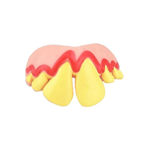 DHliIQQ Lustige Falsche Zähne Für Haustier Hund Dekoration Zubehör Zähne Lustige Zahnersatz Tricky Halloween Hot Toys 2023 Cosplay Halloween DHliIQQ Lustige Falsche Zähne Für Haustier Hund Dekoration Zubehör Zähne Lustige Zahnersatz Tricky Halloween Hot Toys 2023 Cosplay Halloween von DHliIQQ