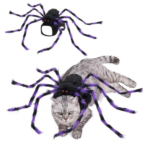 Halloween-Kostüm für Haustiere, riesiges Spinnen-Dekor, Halloween-Partyzubehör, Spinne, Cosplay, für Hundekleidung, lustige Kostüme, nur Parade, Hunde, Hunde, 3D-Kostüme, Dacron-Wettbewerb, Katzen Halloween-Kostüm für Haustiere, riesiges Spinnen-Dekor, Halloween-Partyzubehör, Spinne, Cosplay, für Hundekleidung, lustige Kostüme, nur Parade, Hunde, Hunde, 3D-Kostüme, Dacron-Wettbewerb, Katzen von DHliIQQ