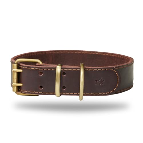 DIAVOLI - Hunde Lederhalsband Luna - Strapazierfähiges Hundehalsband mit Verstellbarer Messing Schnalle - Fettleder Halsband Robust - Größe L DIAVOLI - Hunde Lederhalsband Luna - Strapazierfähiges Hundehalsband mit Verstellbarer Messing Schnalle - Fettleder Halsband Robust - Größe L von DIAVOLI