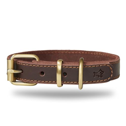 DIAVOLI - Hunde Lederhalsband Luna - Strapazierfähiges Hundehalsband mit Verstellbarer Messing Schnalle - Fettleder Halsband Robust - Größe S von DIAVOLI
