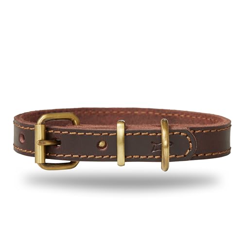 DIAVOLI - Hunde Lederhalsband Luna - Strapazierfähiges Hundehalsband mit Verstellbarer Messing Schnalle - Fettleder Halsband Robust - Größe XS DIAVOLI - Hunde Lederhalsband Luna - Strapazierfähiges Hundehalsband mit Verstellbarer Messing Schnalle - Fettleder Halsband Robust - Größe XS von DIAVOLI