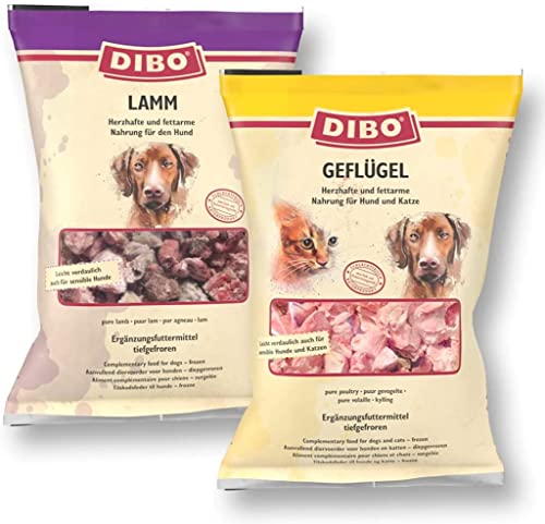 DIBO Fleisch 5 x Geflügel & 5 x Lamm 10 x 2.000g-Beutel, Tiefkühlfutter, gesunde, natürliche Ernährung für Hunde, Hundefutter, Barf, B.A.R.F. DIBO Fleisch 5 x Geflügel & 5 x Lamm 10 x 2.000g-Beutel, Tiefkühlfutter, gesunde, natürliche Ernährung für Hunde, Hundefutter, Barf, B.A.R.F. von DIBO