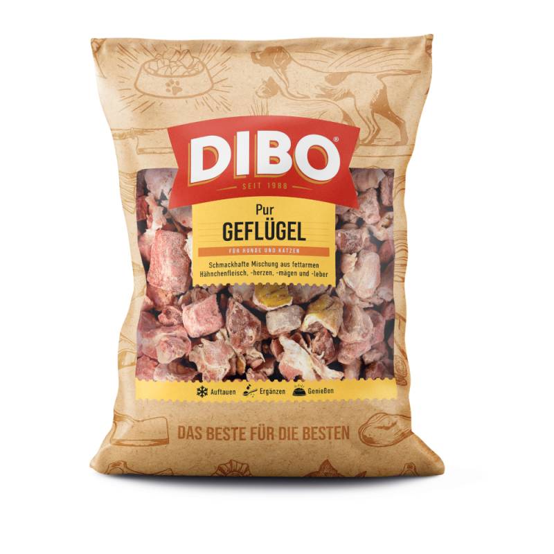 DIBO Frostfutter Geflügel - 3 x 2000 g DIBO Frostfutter Geflügel - 3 x 2000 g von DIBO