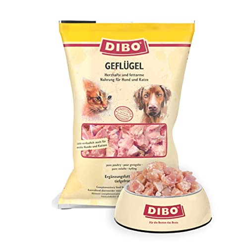 DIBO Geflügel, 3 x 2.000g-Beutel, Tiefkühlfutter, gesunde, natürliche Ernährung für Hunde und Katzen, Barf Fleisch von DIBO