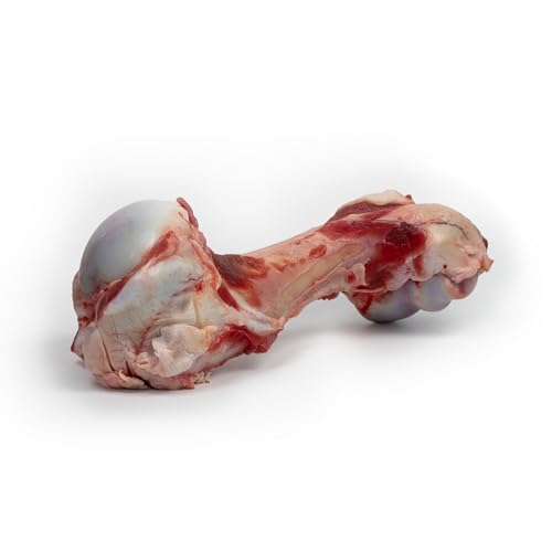 DIBO Kalbsröhrenknochen 15 Stück - Barf - Fleischknochen für Hunde von DIBO