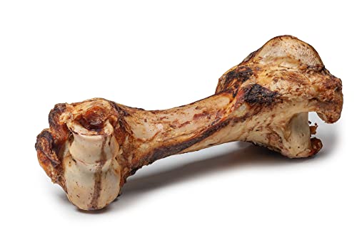 DIBO Mamut-Knochen, ca. 30cm, der kleine Naturkau-Snack oder Leckerli für Zwischendurch, Hundefutter, Qualitätskauartikel ohne Chemie von DIBO von DIBO