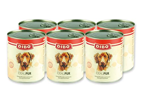 DIBO PUR IDEAL - Rind & Geflügel, 6 x 800g-Dose, Hundefutter, Nassfutterohne Konservierungsstoffe, Reine Fleischdosen aus frischem und natürlichem Fleisch! DIBO-Qualität von DIBO