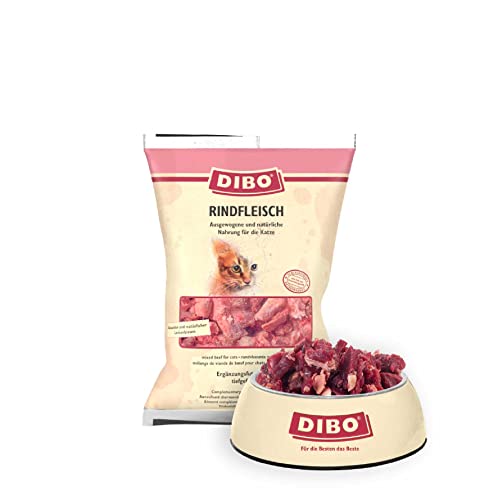 DIBO Rindfleisch für Katzen, 12 x 500g-Beutel, Tiefkühlfutter, gesunde, natürliche Ernährung für Katzen, Katzenfutter, Barf von DIBO