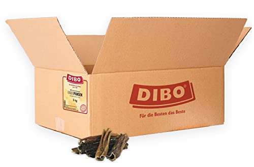 DIBO Rinderpansen, 5kg-Beutel, der kleine Naturkau-Snack oder Leckerli für Zwischendurch, Hundefutter, Qualitätskauartikel ohne Chemie von DIBO