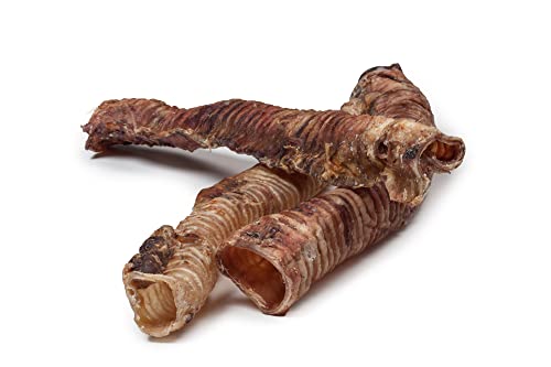 DIBO Rinderschlund -strosse, ganz, ca. 40 cm lang, Naturkau-Snack oder Leckerli für Zwischendurch, Hundefutter, Qualitätskauartikel ohne Chemie von DIBO