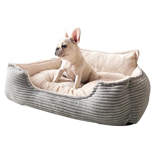 DIDILLX Abnehmbares, waschbares Hundebett, schöne Katzen-Couch, flauschig, beruhigt, weiches Couchbett für Wärme und Erholung DIDILLX Abnehmbares, waschbares Hundebett, schöne Katzen-Couch, flauschig, beruhigt, weiches Couchbett für Wärme und Erholung von DIDILLX