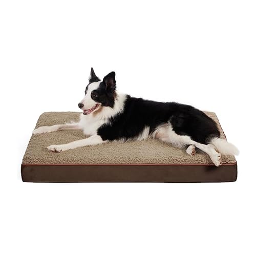 DIDILLX Katzen- und Hunde-Plüschkissen, für vier Jahreszeiten, Schlafunterlage für Hunde und Katzen, abnehmbar, faltbar, für den Innenbereich DIDILLX Katzen- und Hunde-Plüschkissen, für vier Jahreszeiten, Schlafunterlage für Hunde und Katzen, abnehmbar, faltbar, für den Innenbereich von DIDILLX