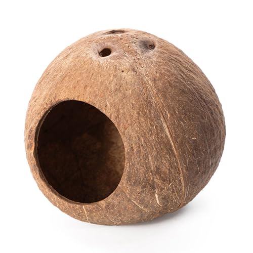 Hamsterhaus Versteck Kletterleiter Kleintier-Lebensraum Natürliche Kokosnüsse Spielhaus Kauspielzeug für Zwerghamsterhäuser Verstecke Hamsterhaus Versteck Kletterleiter Kleintier-Lebensraum Natürliche Kokosnüsse Spielhaus Kauspielzeug für Zwerghamsterhäuser Verstecke von DIEKE