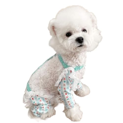 Maschinenwaschbare Hunde-Beinschutzhose, staubdicht, vierbeiniges Design, bequem, für den Außenbereich, verschleißfeste Hundehose für Spaziergänge im Freien von DIEKE