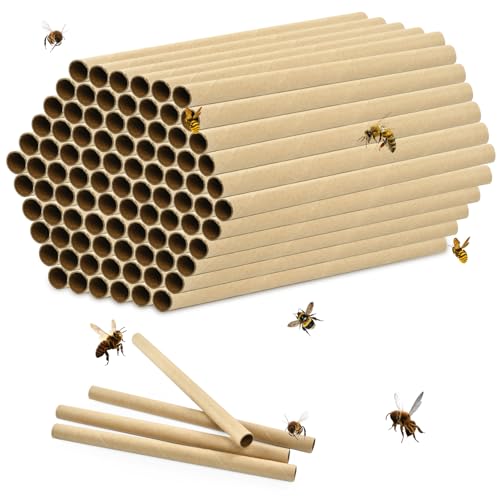 100 Stück Mason Bee Tubes, 15 cm Lang, Imker Refill Kartoneinsatz, Mason Bee Nesting Paper Tubes, für Mason Bee House, Bee Hotels, Bienenhaus, Nisthülsen für Wildbienen Insektenhotel 100 Stück Mason Bee Tubes, 15 cm Lang, Imker Refill Kartoneinsatz, Mason Bee Nesting Paper Tubes, für Mason Bee House, Bee Hotels, Bienenhaus, Nisthülsen für Wildbienen Insektenhotel von DIELOVEHUA