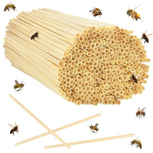 300 Stück Nisthülsen für Insektenhotel, 14.5 cm Lang, Durchmesser 3-5 MM, Nisthülsen für Wildbienen, Insektenhotel Füllmaterial, Niströhren für Wildbiene, Weizenhalme Füllung für Insektenhotel 300 Stück Nisthülsen für Insektenhotel, 14.5 cm Lang, Durchmesser 3-5 MM, Nisthülsen für Wildbienen, Insektenhotel Füllmaterial, Niströhren für Wildbiene, Weizenhalme Füllung für Insektenhotel von DIELOVEHUA