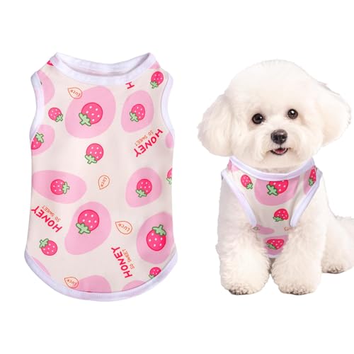 DIELOVEHUA Hundekleidung, Sommer Weiche Atmungsaktive Welpenweste, Niedliche Erdbeerdruck Hunde-T-Shirt, Rosa Hemd für kleine Hunde und Katzen Haustier, L DIELOVEHUA Hundekleidung, Sommer Weiche Atmungsaktive Welpenweste, Niedliche Erdbeerdruck Hunde-T-Shirt, Rosa Hemd für kleine Hunde und Katzen Haustier, L von DIELOVEHUA