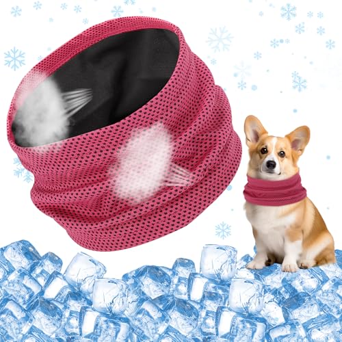 Kühlhalsband für Hunde, Hunde halstücher Kühlend, Hundehalsband Kühlend, Kühlendes Hundehalsband, Geeignet für Kühlhunde im Sommer, 45 x 13 cm von DIELOVEHUA
