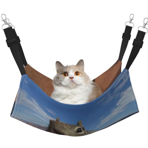 DIEzig Maus mittelgroße Käfig-Hängematte zum Aufhängen, weiches Bett für Kätzchen, Frettchen, Welpen oder kleine Haustiere von DIEzig