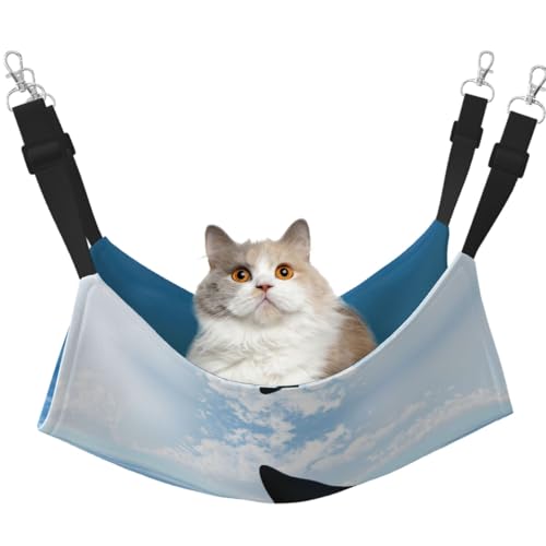 DIEzig Shark Cum Hängematte, mittelgroß, weiches Bett für Kätzchen, Frettchen, Welpen oder kleine Haustiere von DIEzig