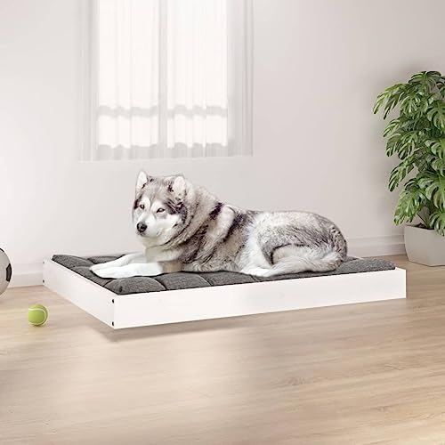 Hundebett Weiß 101,5x74x9cm Kiefer Massivholz von DIGBYS
