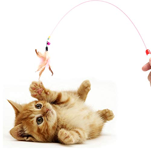DIGIFLEX Spielzeug für Katzen und Kätzchen - Flexibler Stab mit Glocke und Federn - Katzenspielzeug Federstab - Interaktive Katzenangel von DIGIFLEX