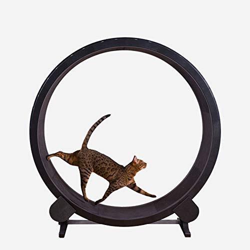 Cat Scratch Board Laufband Riesenrad Haustier Möbel Greifen Krabbeln Regal Rad Rotation Fitness Gewichtsverlust Spielzeug von DIIDIIFF