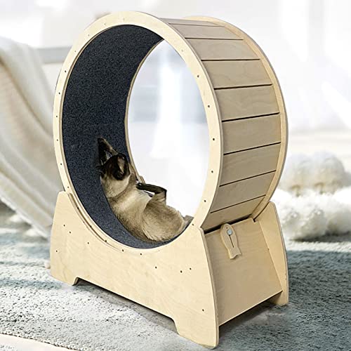 Cat Wheel, Laufband Extreme Cat Wheel Workout Game Trainer für Katzen, Durchmesser 91 cm von DIIDIIFF