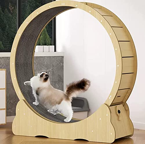 Cat Wheel Holz-Katzenlaufband für Hauskatzen, schwarzes Trainingsgerät, Katzenkratzbrett/Krabbelregal, für die meisten Katzen, M-Schwarz von DIIDIIFF